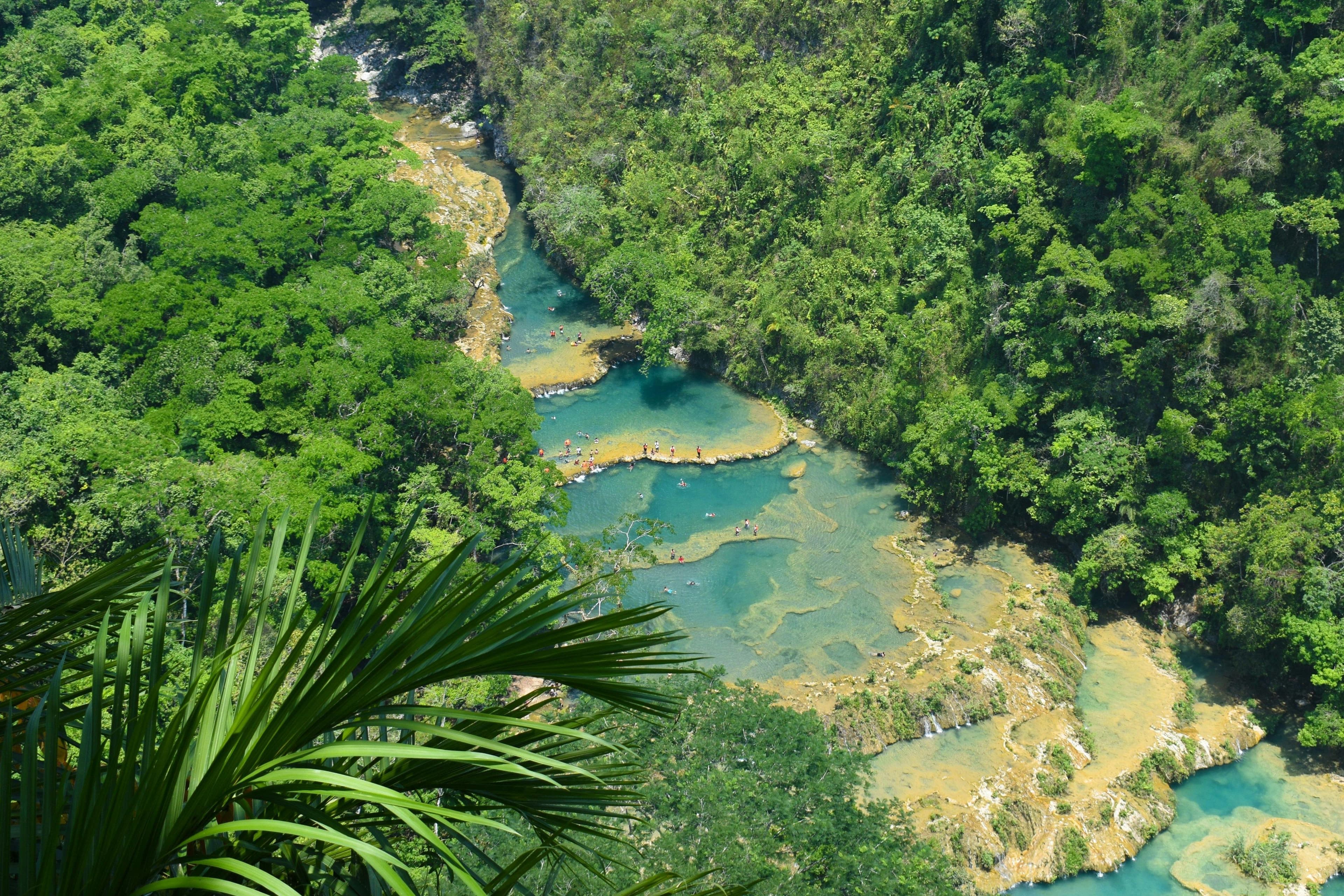 Aerial view of Semuc Champey with turquoise pools flowing through the jungle, surrounded by dense green forest.