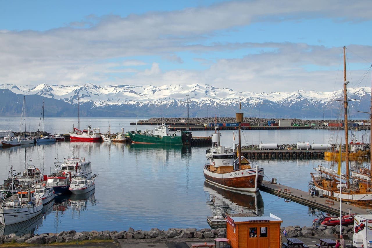 Fishing boats moored in a calm harbour in North Iceland with snow covered mountains in the background.