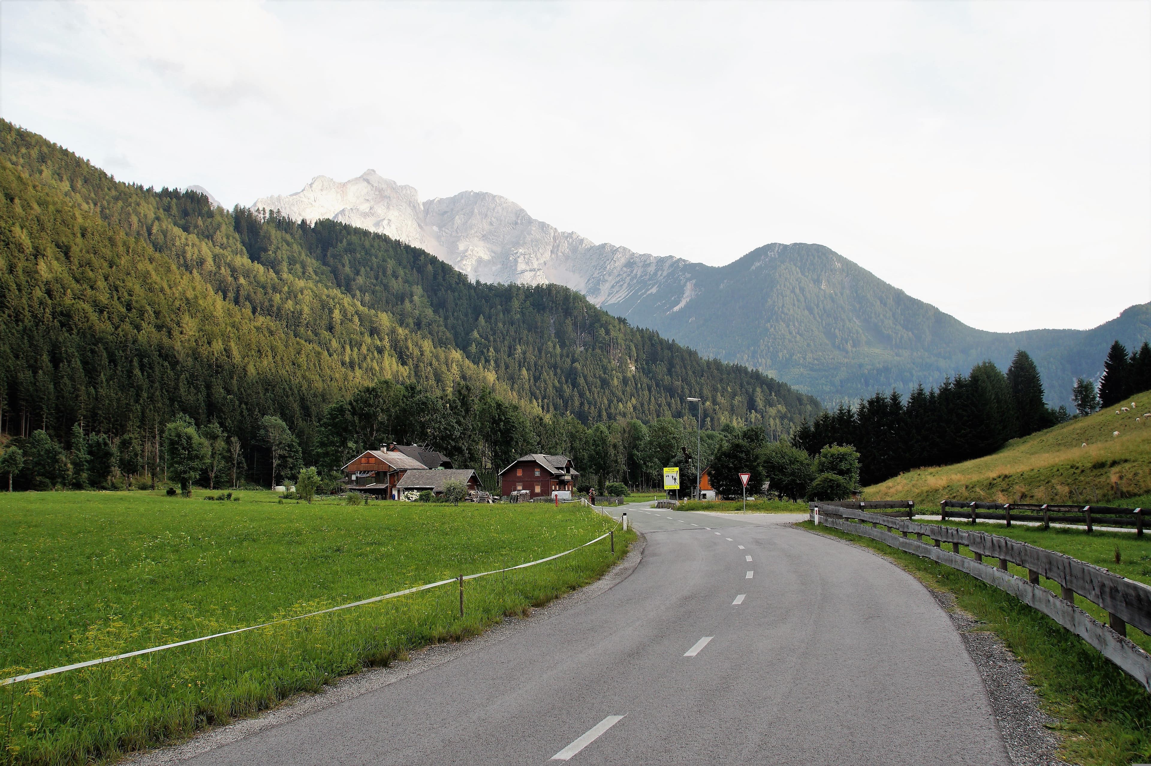 Car road crossing through green landscape and high mountains with trees.