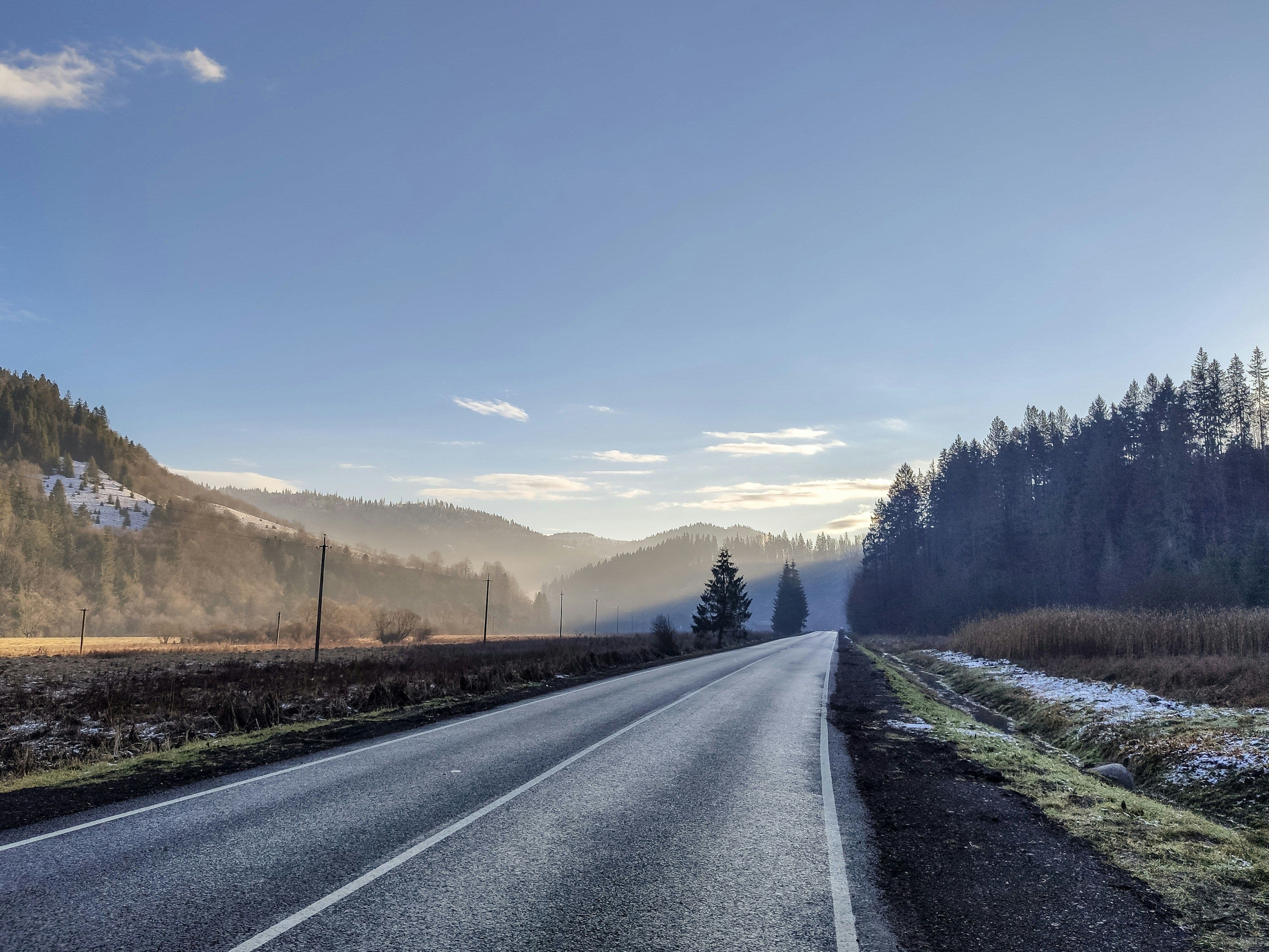 An empty road on a snowy day with clear weather and pine trees surrounding the road