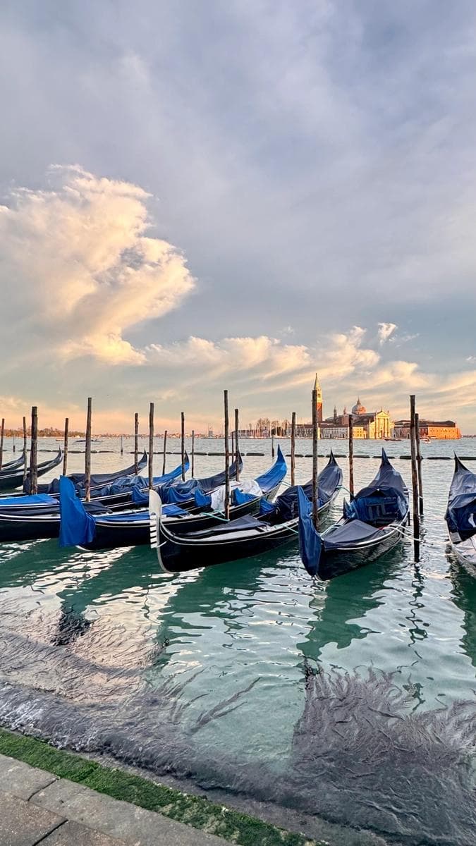 Venice boats