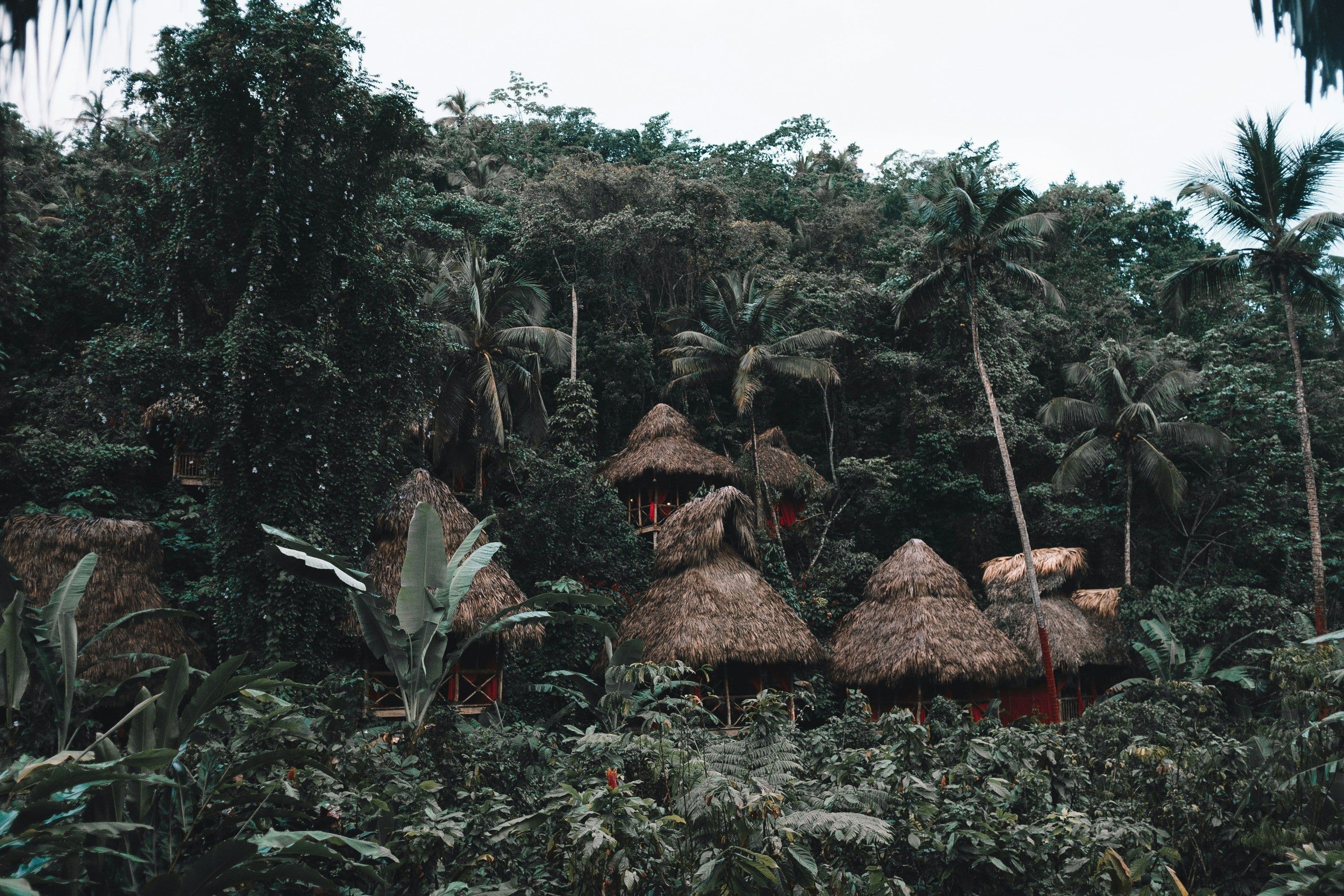 Eco-tourism retreat in jungle