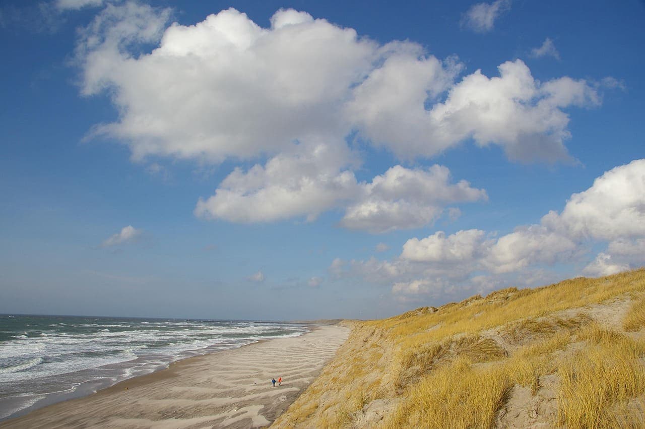 A wide sandy beach on the Danish west coast with dunes and tall grasses overlooking the North Sea under a partly cloudy sky.