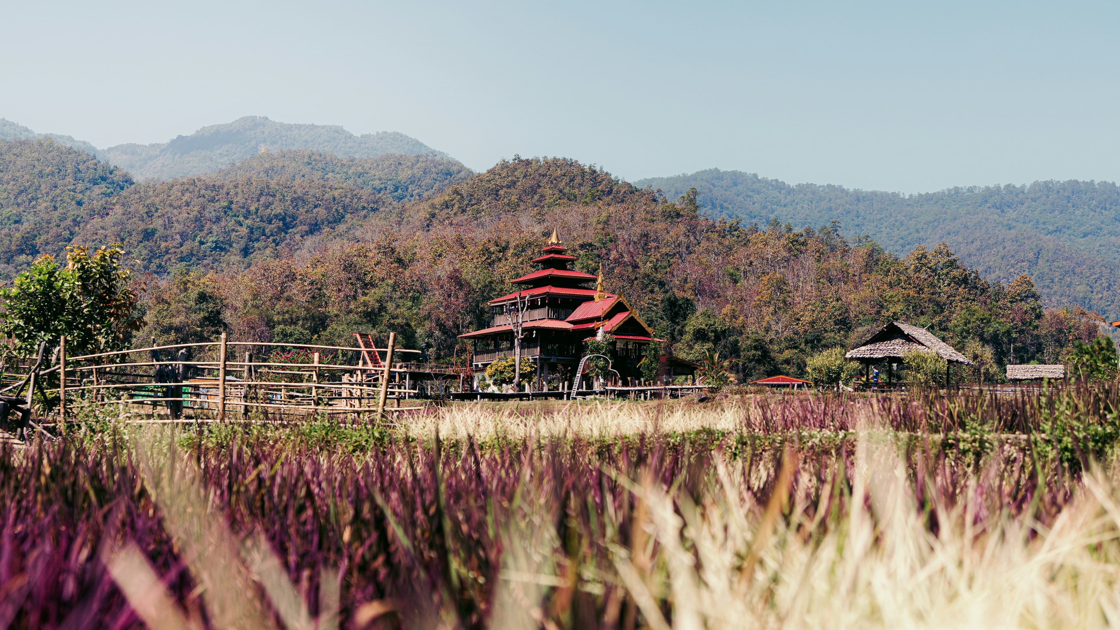 dry landscape in Luang Namtha national park with a wooden hut