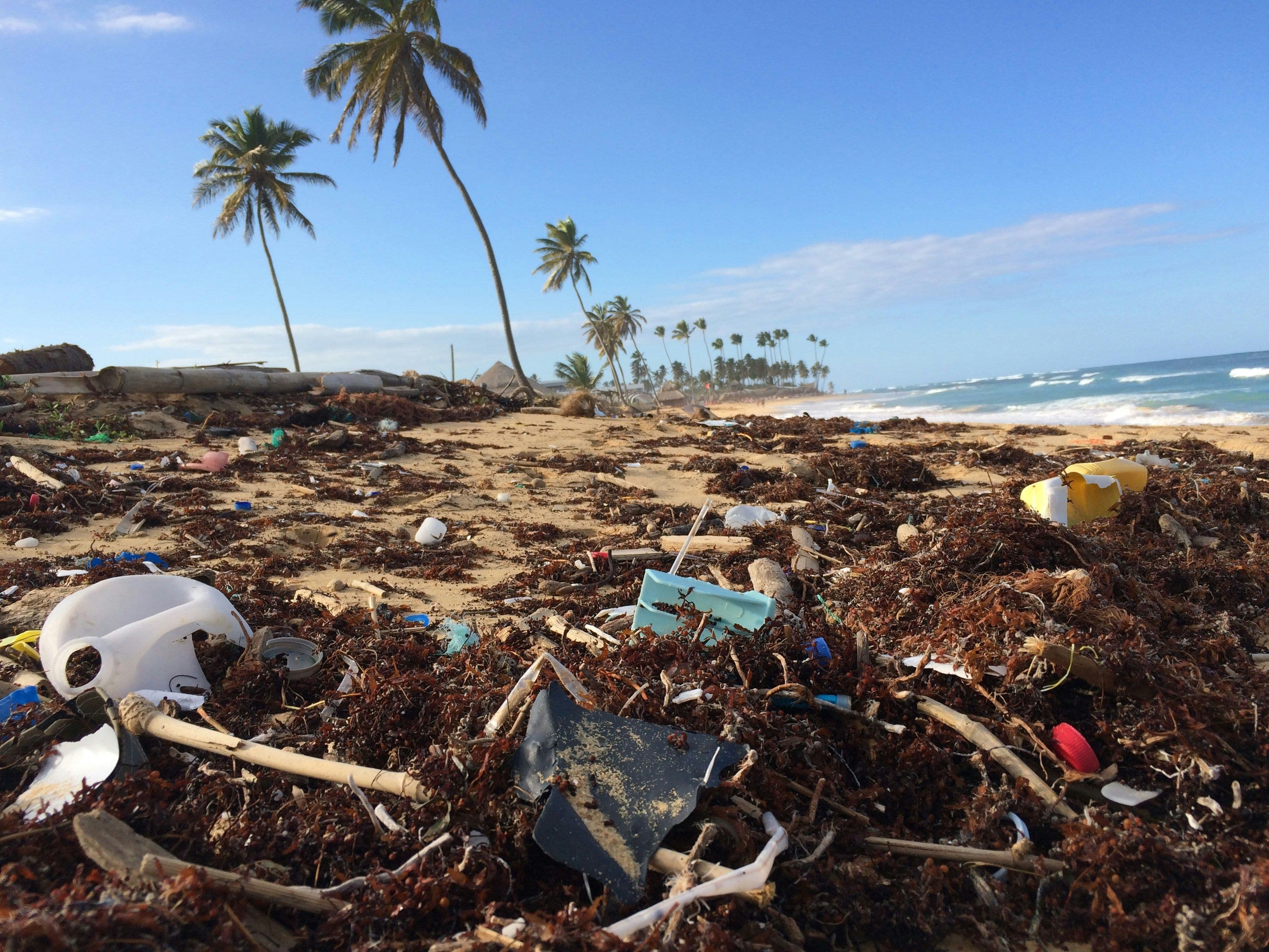 beach filled with debris