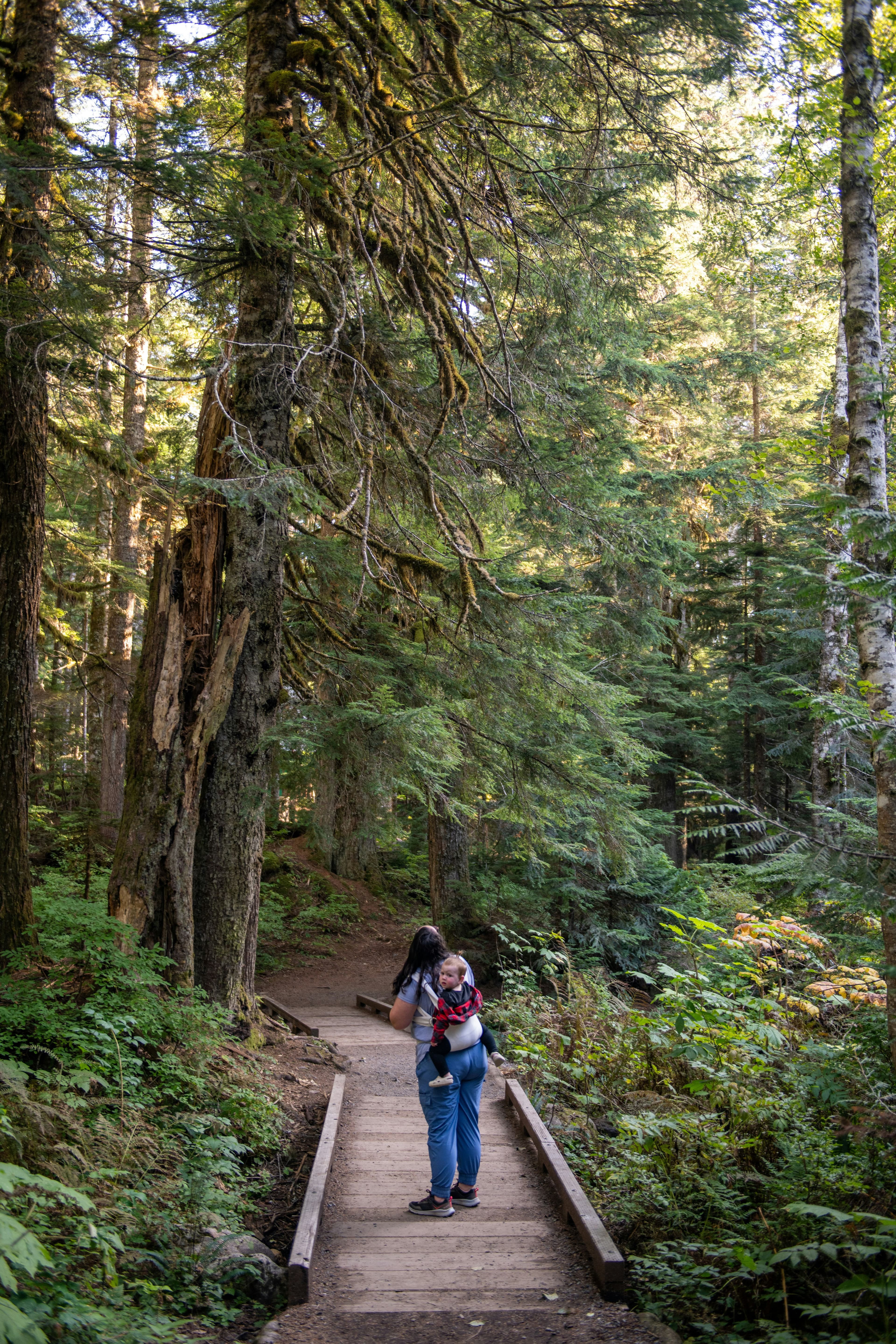 walking with baby in woods