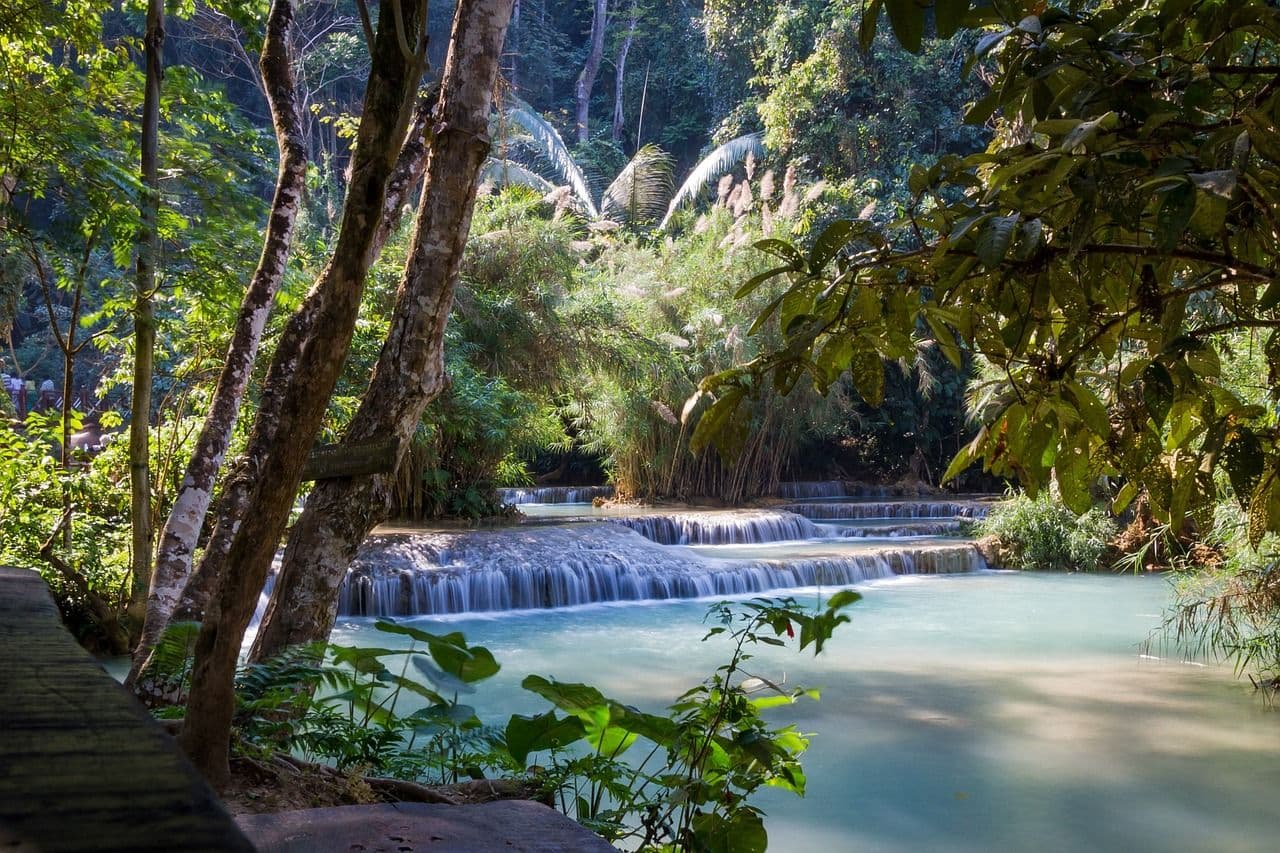 Small turquoise waterfall flowing through dense tropical forest in Laos with trees and lush greenery surrounding the water.