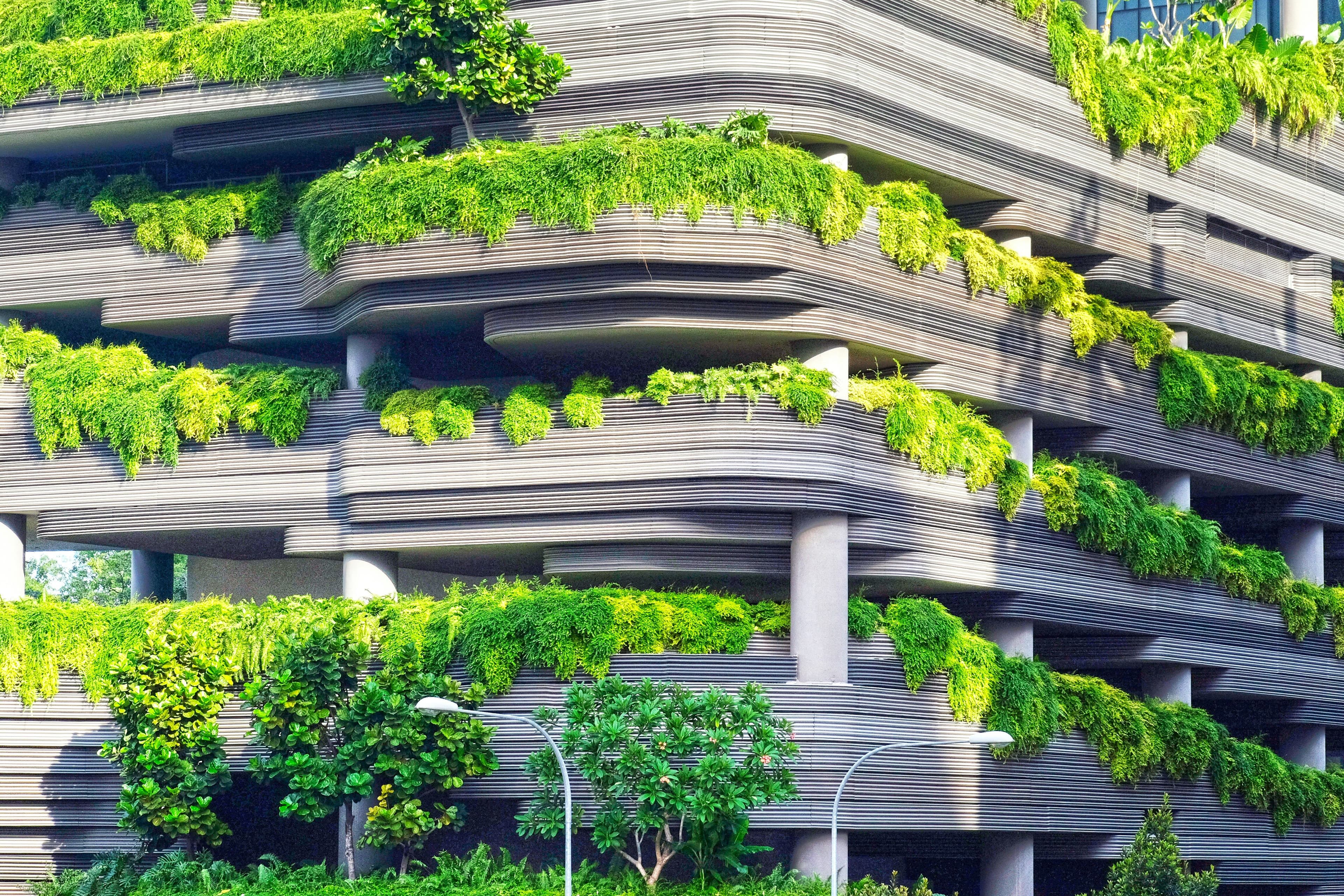 building covered in greenery
