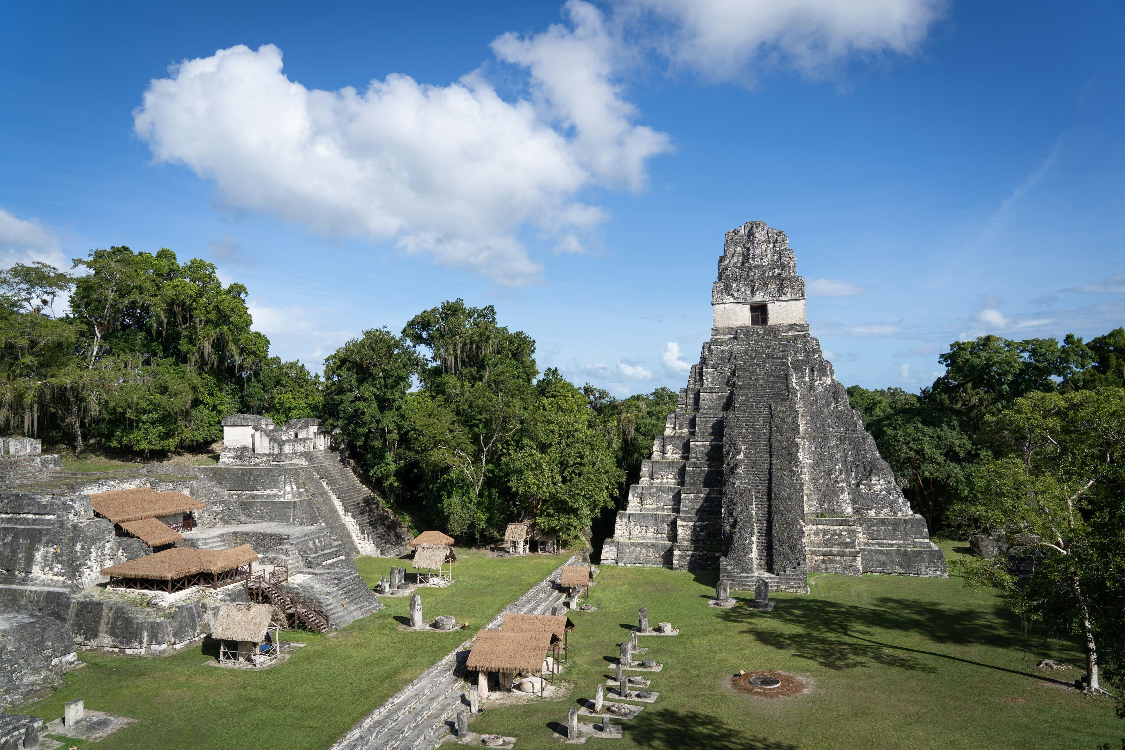 Ancient Mayan temple at Tikal rising above the jungle, with stone structures and green trees surrounding the site.