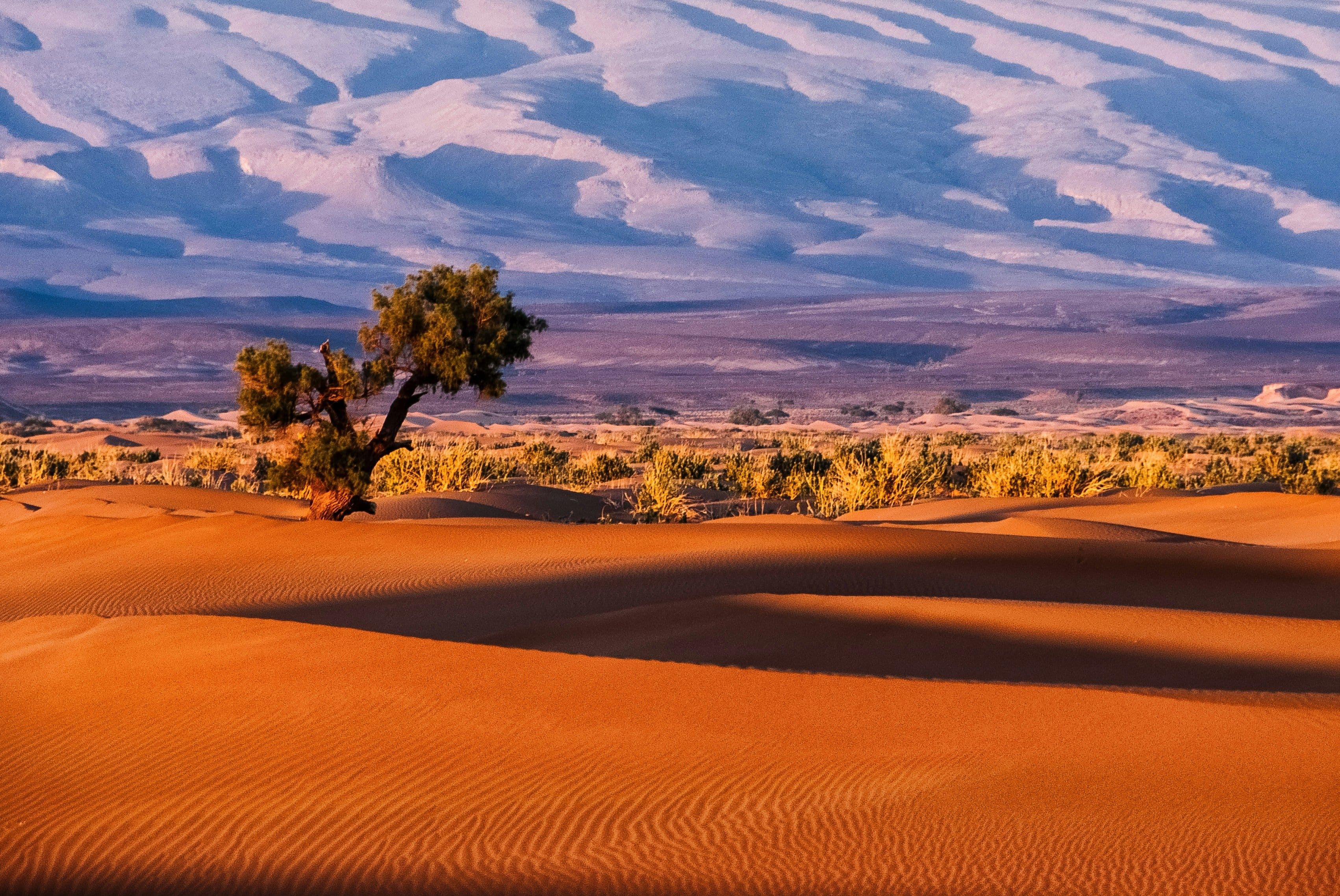Sandy desert in morocco