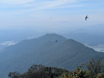 Langbiang mountain viewpoint