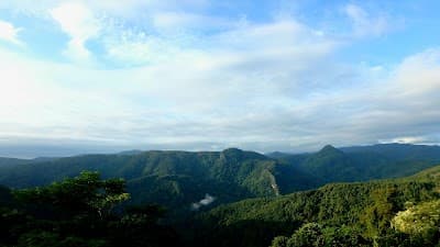 Nam Ha National Bio-Diversity Conservation Area.