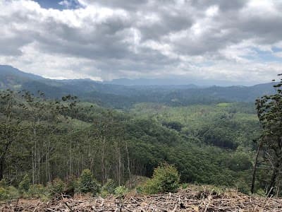 Ella Rock View Point