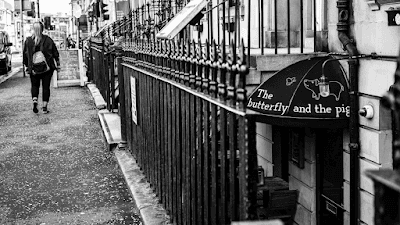 The butterfly and the pig