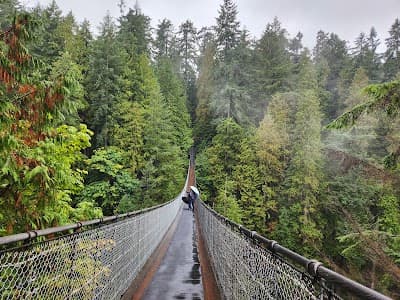 Capilano Suspension Bridge Park