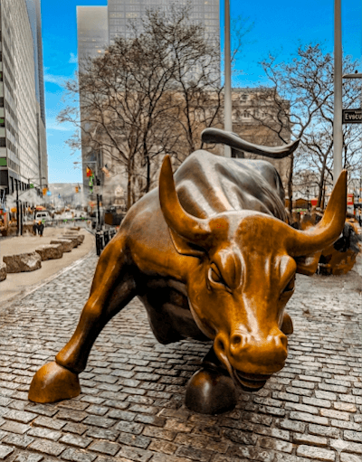 Charging Bull