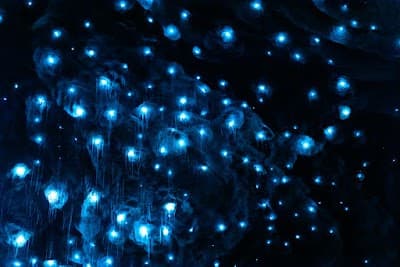 RealNZ | Te Anau Glowworm Caves