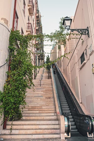 Escadinhas da Saúde