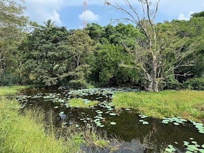 Hiriwadunna Village and Lake Adventure