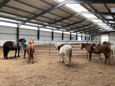 Icelandic Horseworld