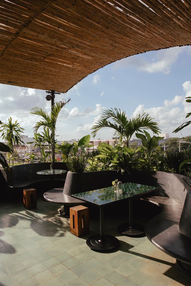 ROOFTOP by Downtown